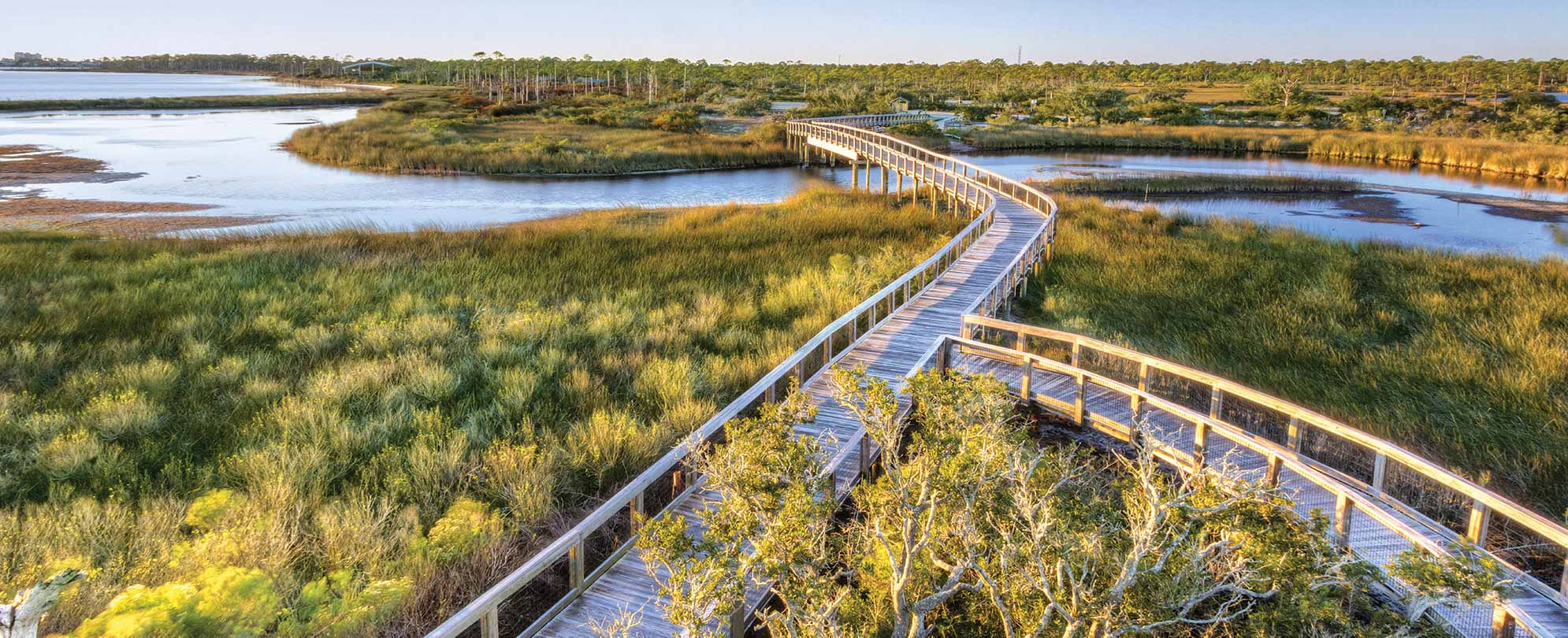 A nature boardwalk stretches over the wetlands on a national park vacation