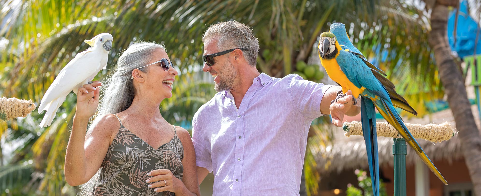 A man and woman hold tropical birds on their arms while enjoying owner exclusives from Margaritaville Vacation Club.
